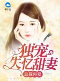 独家婚宠,总裁的再嫁甜妻