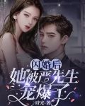 闪婚后,她被严先生宠爆了全文阅读